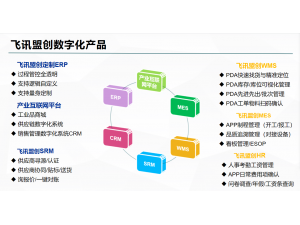 飛訊盟創電聲數字化產品